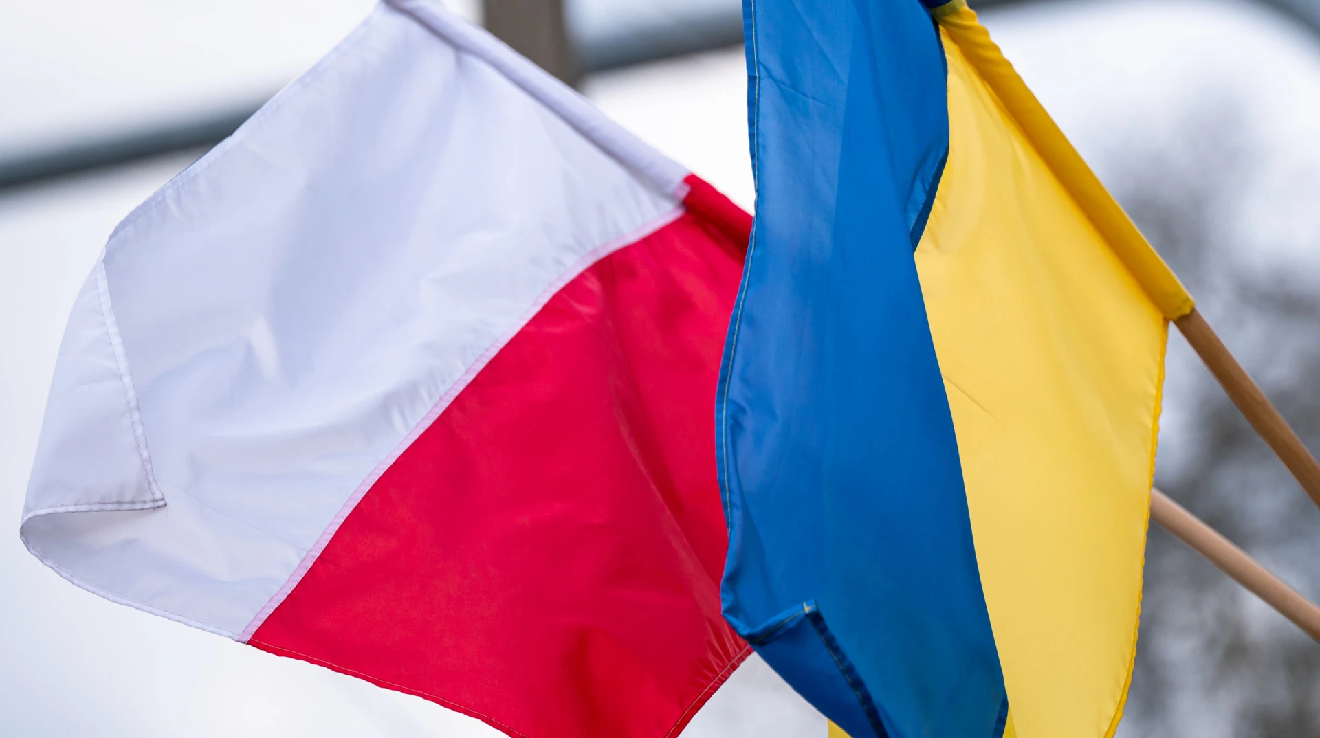Знайдені місця поховань польських військових на старому Голосківському кладовищі у Львові